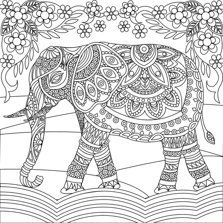 Elephant Adult Coloring Pages
 143 best images about Elephant Coloring Pages for Adults