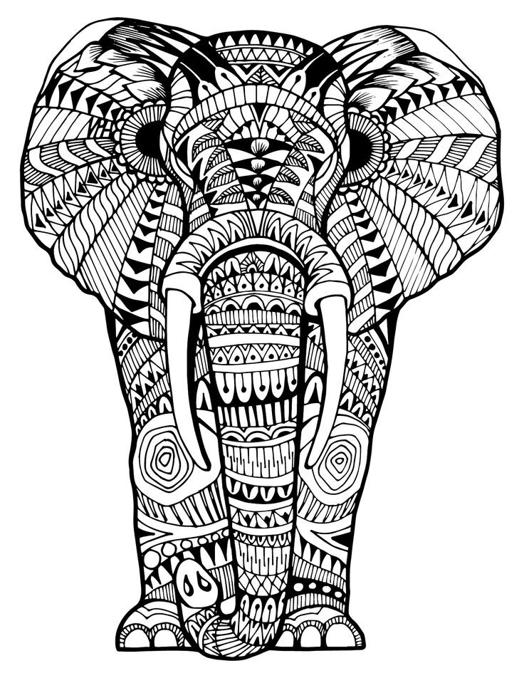 Elephant Adult Coloring Pages
 Intricate Elephant Coloring Pages at GetColorings