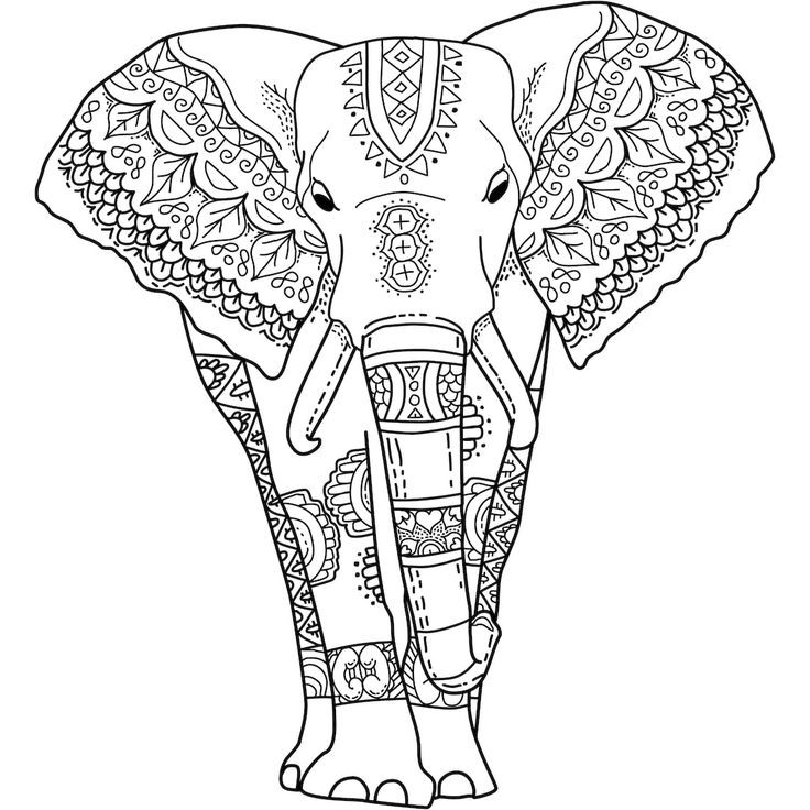 Elephant Adult Coloring Pages
 159 best Elephant Coloring Pages for Adults images on