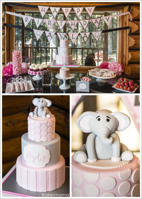 Elephant Birthday Party Ideas
 Elephant Birthday Party