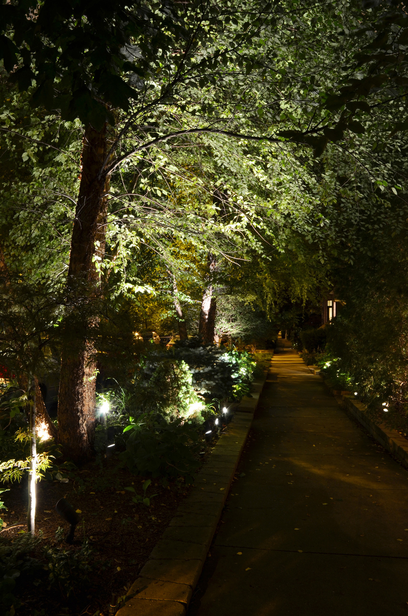 Exterior Landscape Lighting
 How To Landscape Lighting