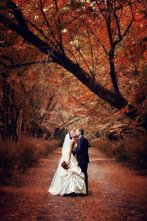 Fall Backyard Wedding
 WhiteAzalea Destination Dresses Wedding Dresses for Fall