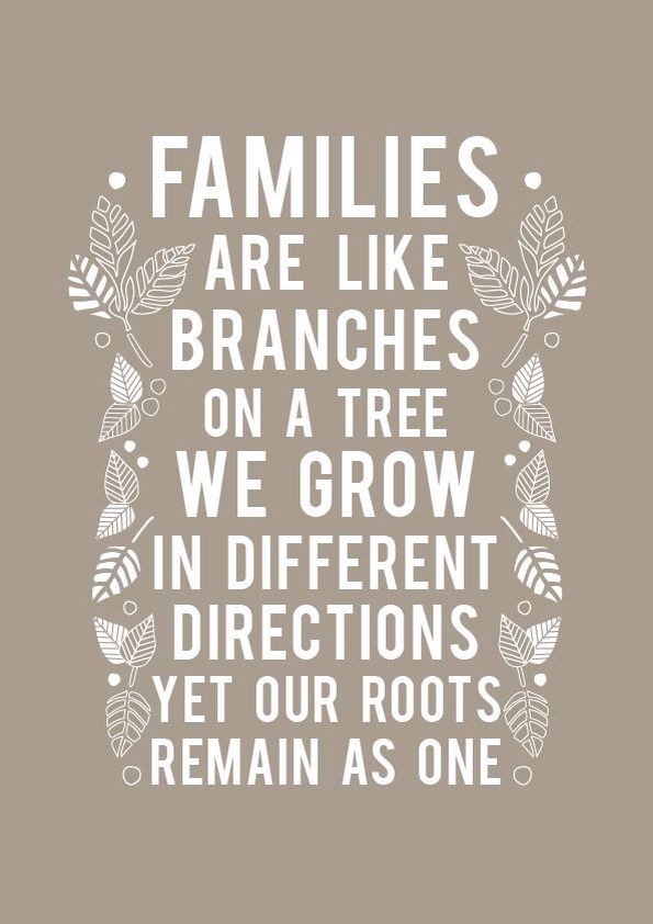 Family Relations Quotes
 17 Best images about Family ♥ Love ♥ Relationships on