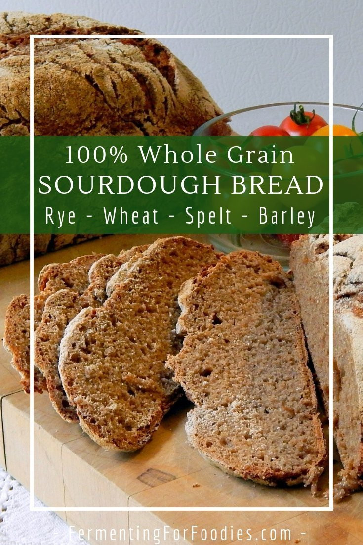 Fiber In Sourdough Bread
 Whole Grain Sourdough Bread Fermenting for Foo s