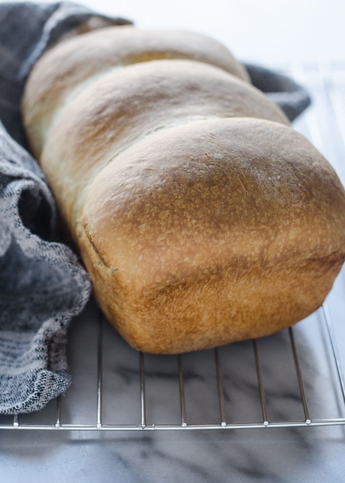 Fiber In Sourdough Bread
 Sourdough Sandwich Bread Recipe