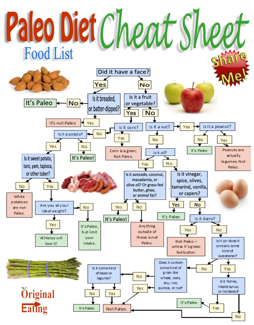 Food List For Paleo Diet
 Paleo Diet Plan Meals Benefits and Basic Guidelines