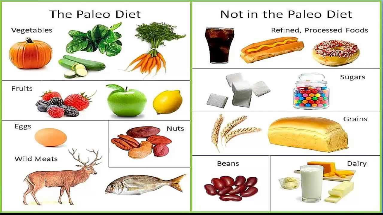 Food List For Paleo Diet
 The Links Between Your Hormone and Diet AAI Clinic