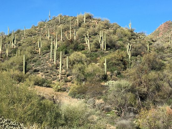 Fountain Hills Halloween 2020
 30 the Hottest Fountain Hills Halloween 2020 Home