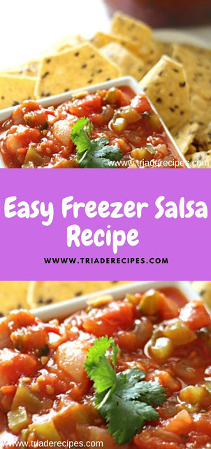 Freezer Salsa Recipe
 Easy Freezer Salsa Recipe