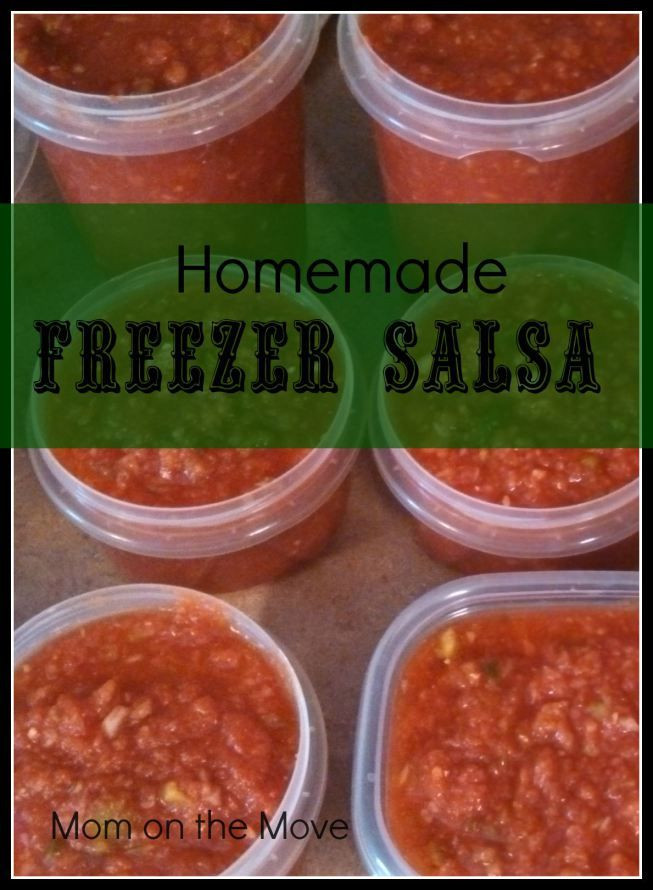 Freezer Salsa Recipe
 Homemade Freezer Salsa