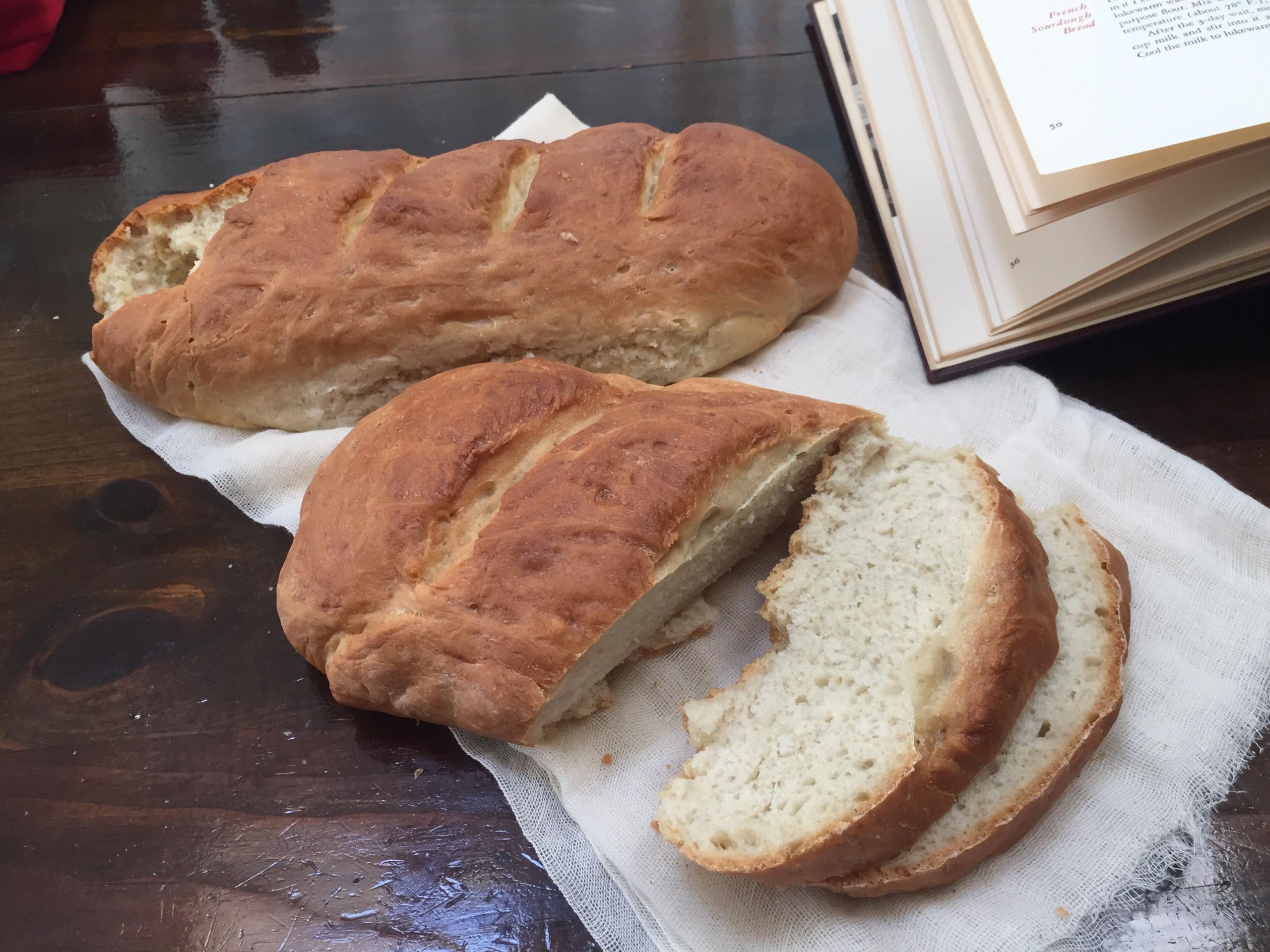 French Bread Vs Italian Bread
 [Homemade] Italian bread made Pain Ordinaire just flour