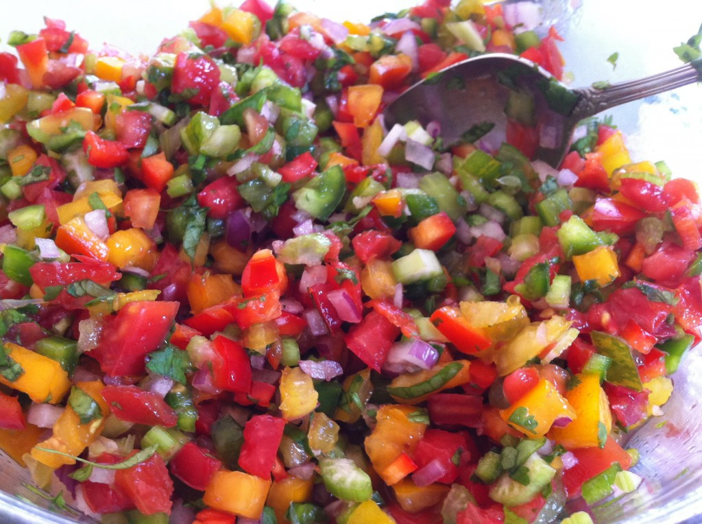 Fresh Garden Salsa Recipe
 Fresh Homemade Salsa Recipe