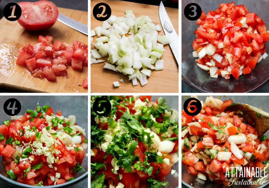 Fresh Garden Salsa Recipe
 Garden Fresh Salsa Recipe for Straight Out of the Garden