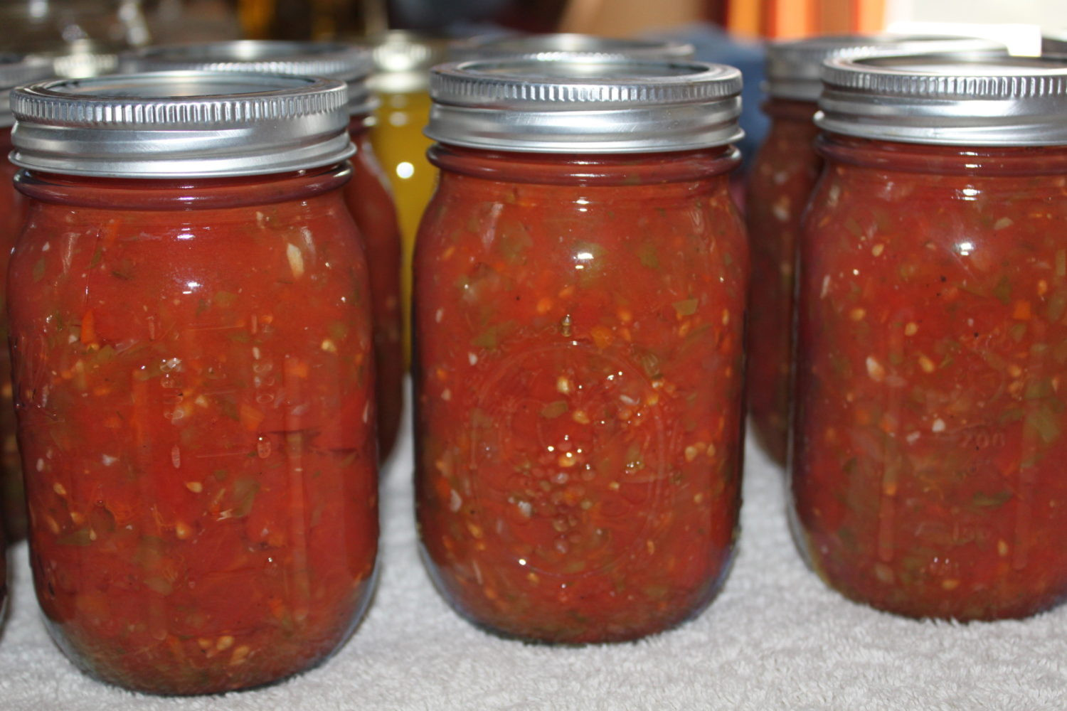 Fresh Garden Salsa Recipe
 Classic Salsa Canning Recipe Made Straight From The Garden