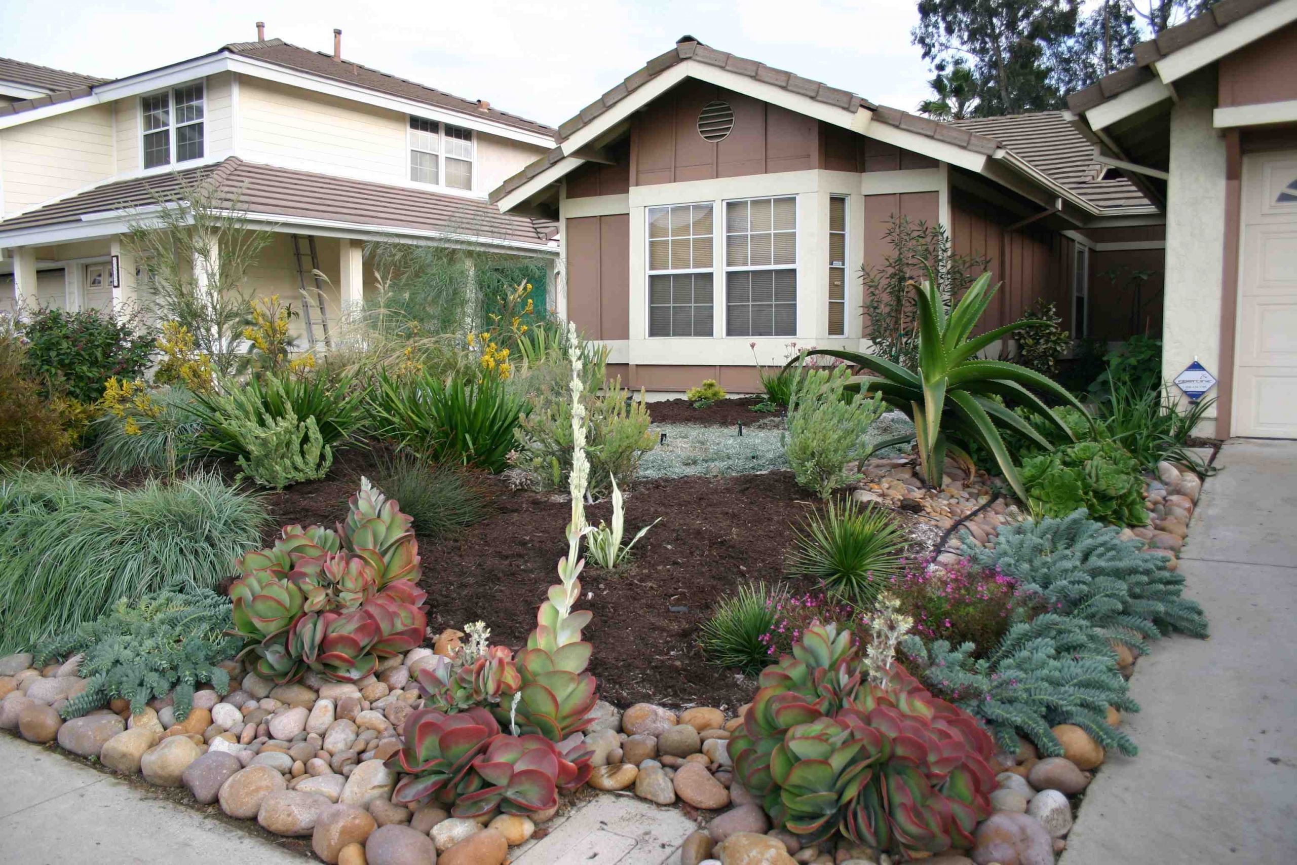 Frontyard Landscape Pictures
 Serious Rebates Available for California Friendly