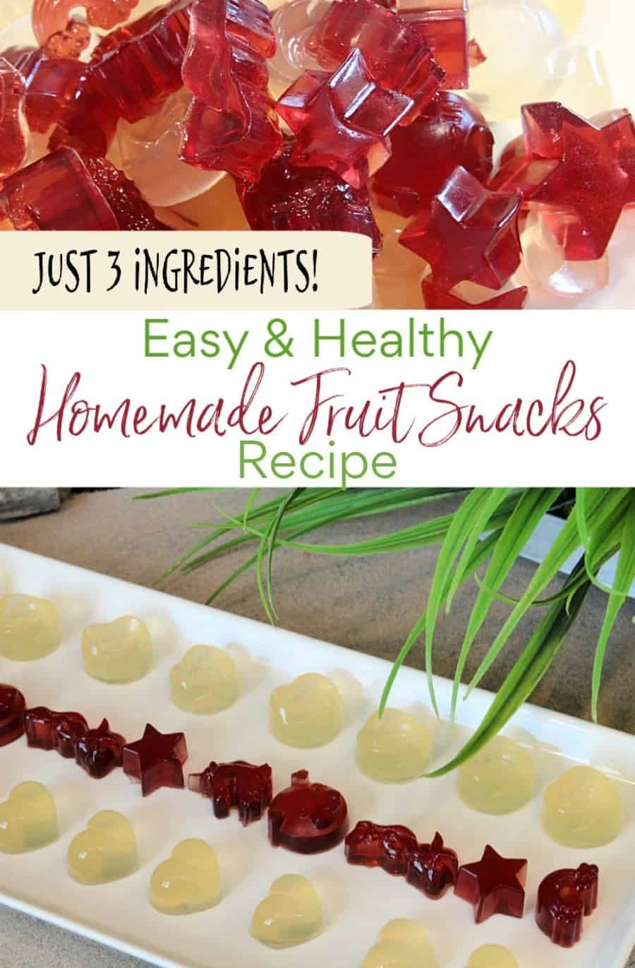 Fruit Snacks Recipe
 Healthy Homemade Fruit Snacks Recipe Thrifty Nifty Mommy