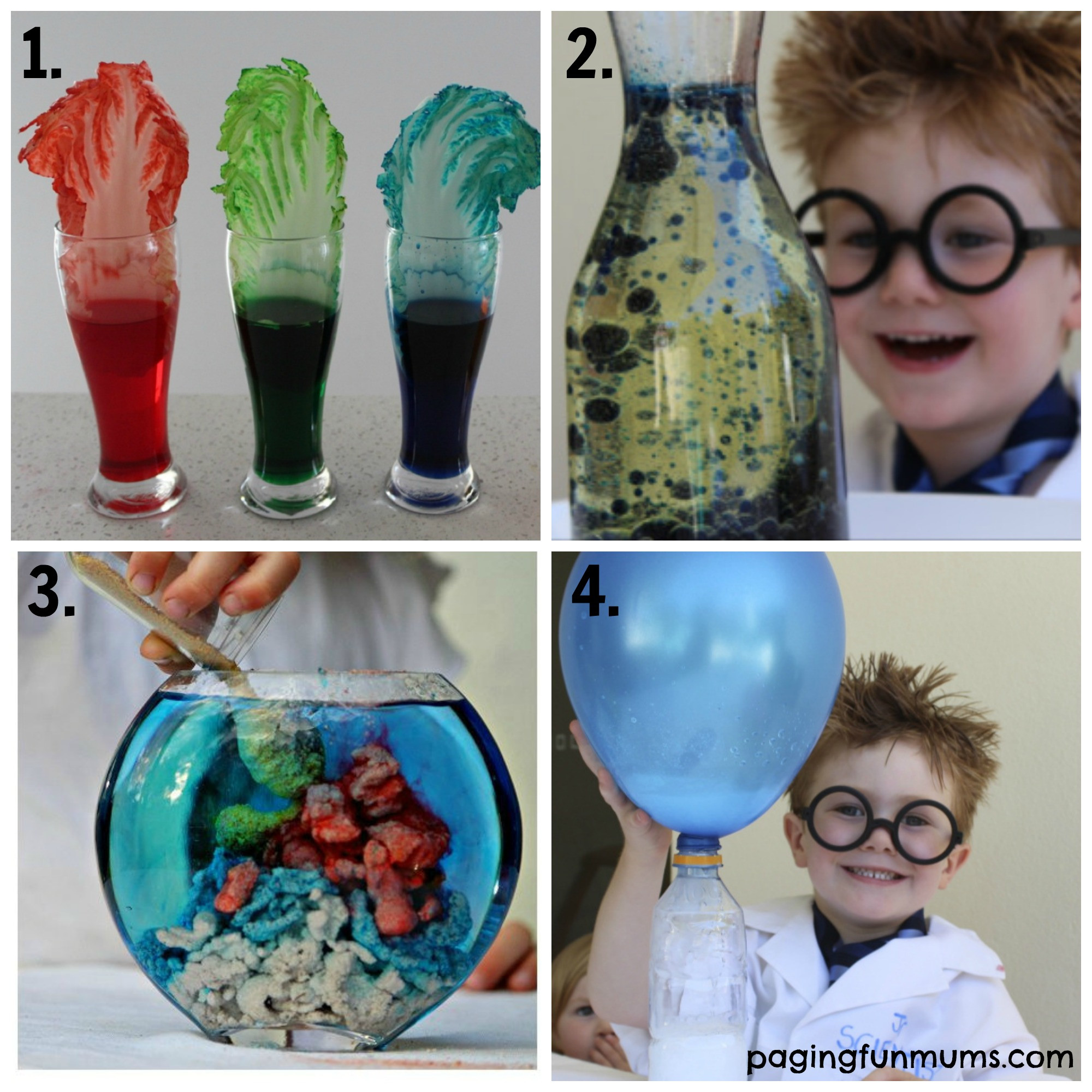 Fun Projects For Kids To Do At Home
 21 Fun Science Experiments for Kids 1 4 Paging Fun Mums