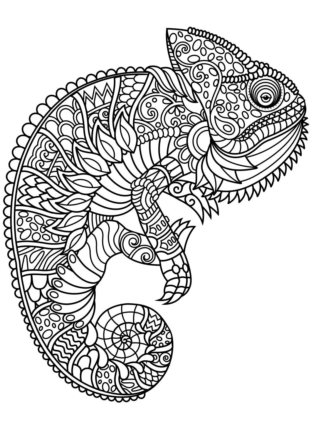 Funny Adult Coloring Pages
 Fun Coloring Pages For Adults at GetColorings