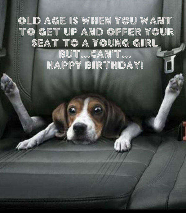 Funny Animal Birthday Cards
 42 Best Funny Birthday & My Happy