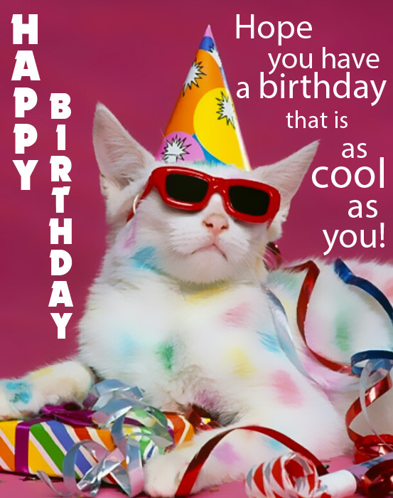 Funny Animated Birthday Wishes
 Happy Birthday Funny Birthday eCards and Gifs