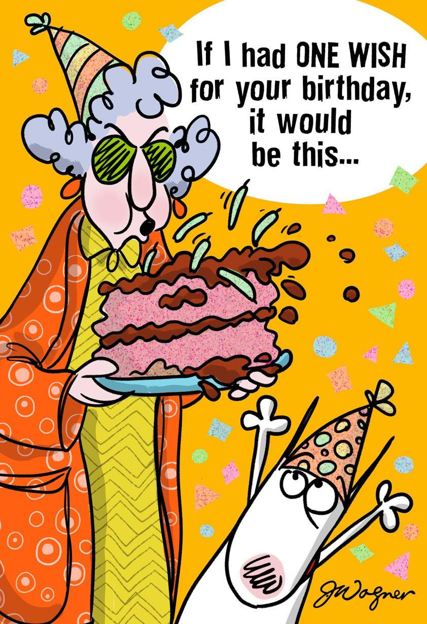 Funny Birthday Card Images
 e Wish Funny Birthday Card Greeting Cards Hallmark