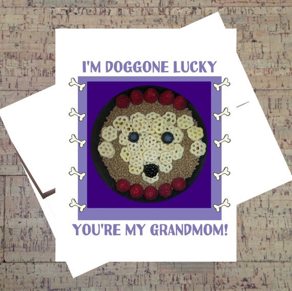 Funny Birthday Cards For Grandma
 Birthday Card For Grandma Funny Birthday Card Grandma Card