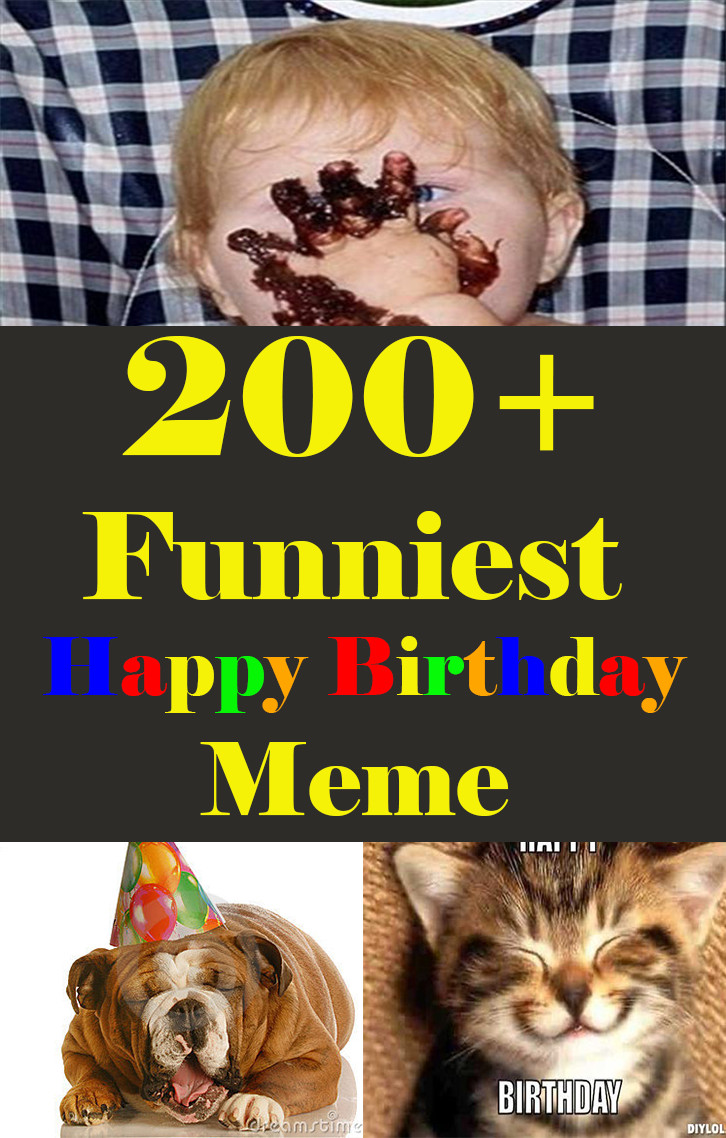 Funny Birthday Memes
 200 Funniest Birthday Memes for you Top Collections