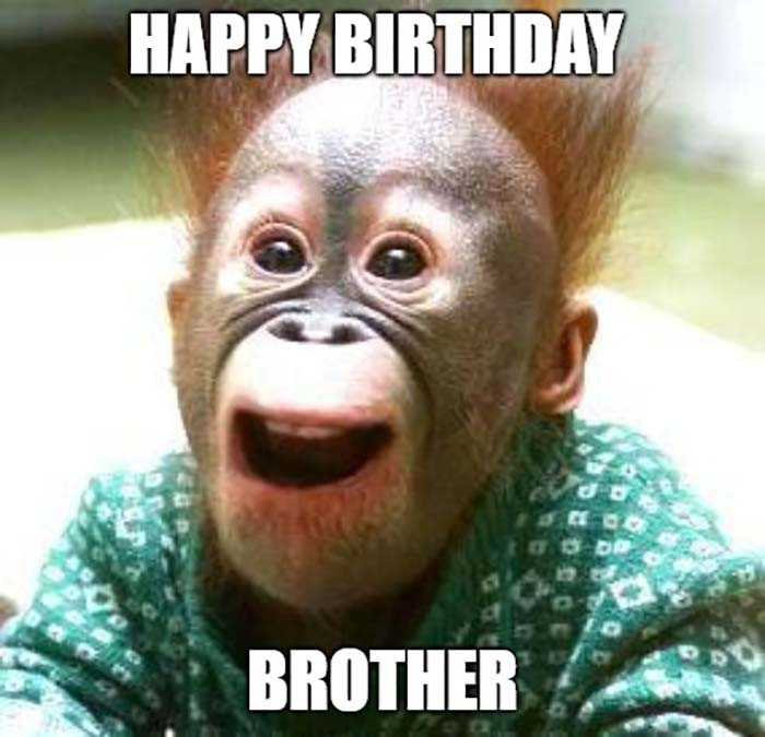 Funny Birthday Memes For Brother
 50 Funniest Happy Birthday Brother Meme Birthday Meme