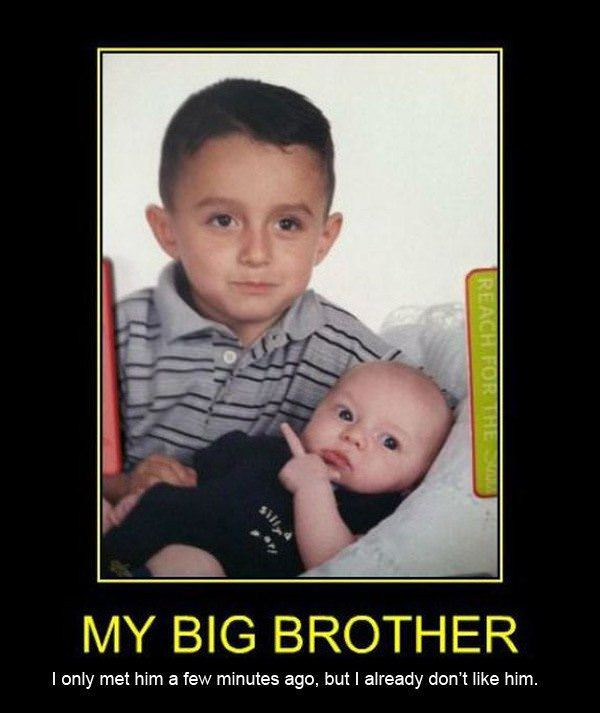 Funny Birthday Memes For Brother
 Happy Birthday Funny Older Brother Quotes QuotesGram