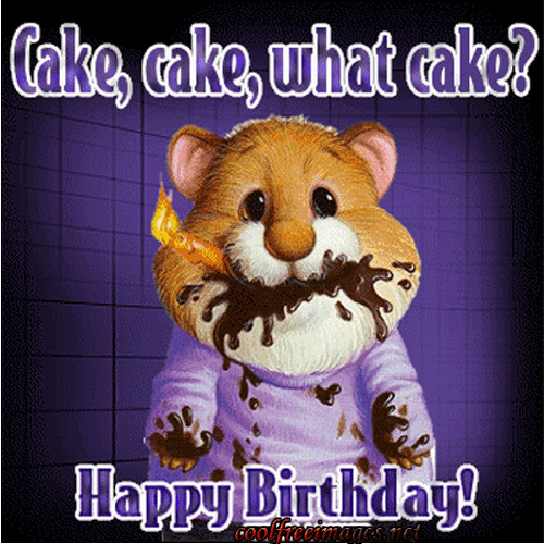 Funny Birthday Picture Quotes
 Funny Birthday Quotes We Need Fun
