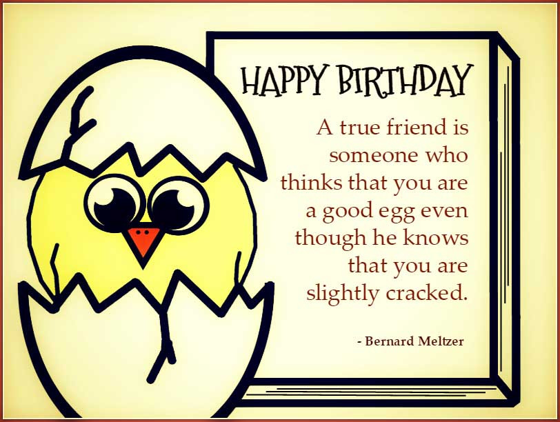 Funny Birthday Quotes For Friend
 Best Friend Birthday Quotes Quotes and Sayings