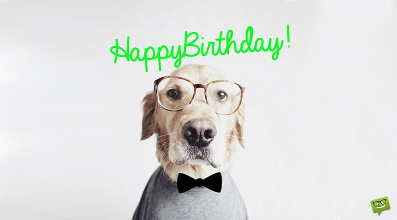 Funny Birthday Quotes For Him
 50 Funny Cute & Romantic Birthday Wishes for Your Boyfriend