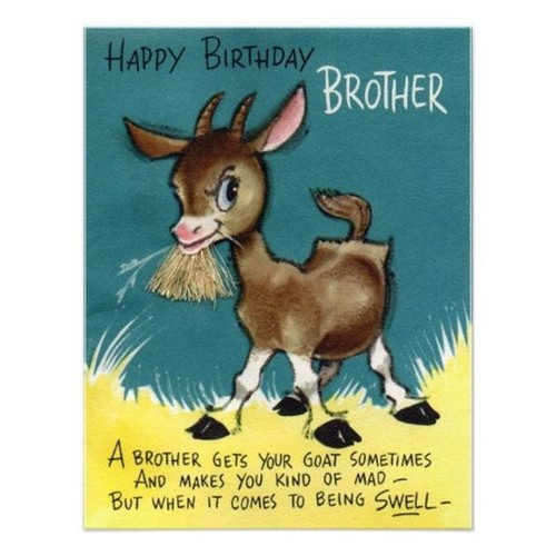 Funny Birthday Wish For Brother
 Happy Birthday Crazy Brother Wishes