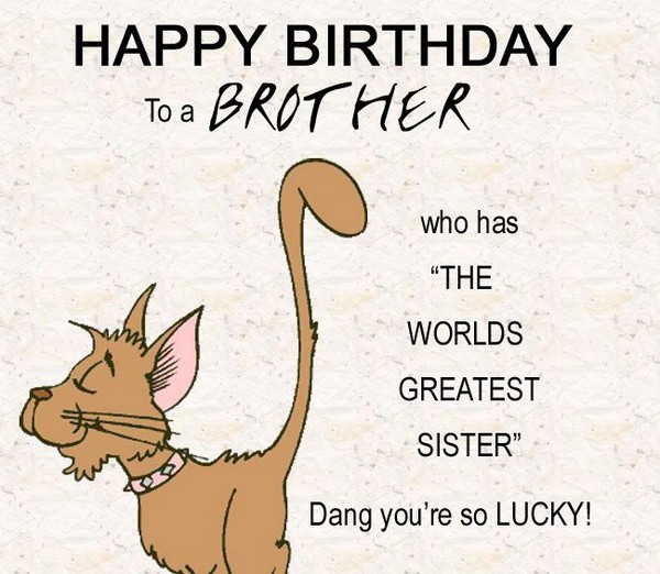 Funny Birthday Wish For Brother
 200 Best Birthday Wishes For Brother 2020 My Happy