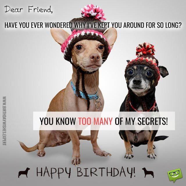 Funny Birthday Wishes For A Friend
 Funny Birthday Wishes for your Family & Friends