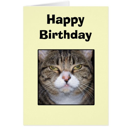 Funny Cat Birthday Card
 Funny Happy Birthday Cat Greeting Card