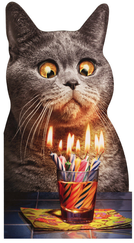 Funny Cat Birthday Card
 Cat Flaming Shot Oversized Funny Birthday Card