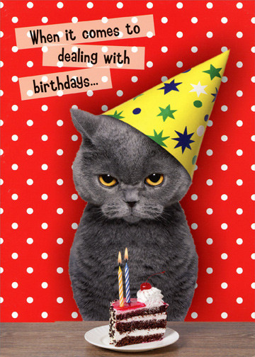 Funny Cat Birthday Card
 Oatmeal Studios Dealing With Birthdays Cat Funny Birthday