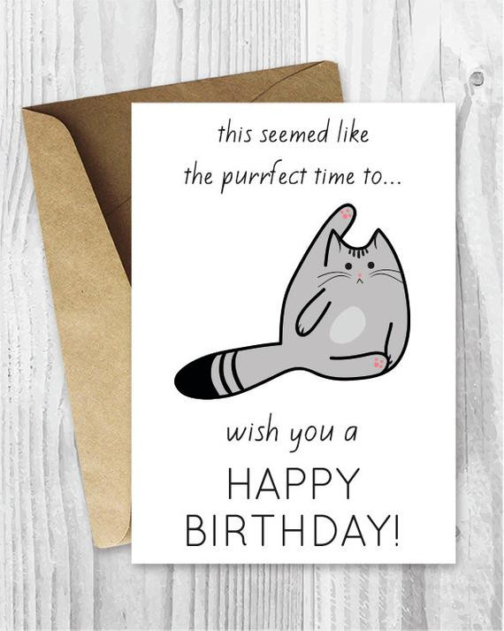 Funny Cat Birthday Card
 Funny Birthday Cards Printable Birthday Cards Funny Cat