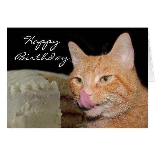 Funny Cat Birthday Card
 Funny cat Birthday Card