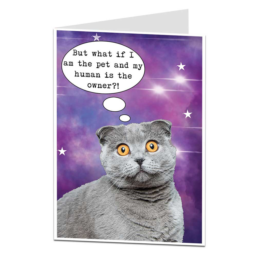 Funny Cat Birthday Card
 Funny Cat Birthday Card