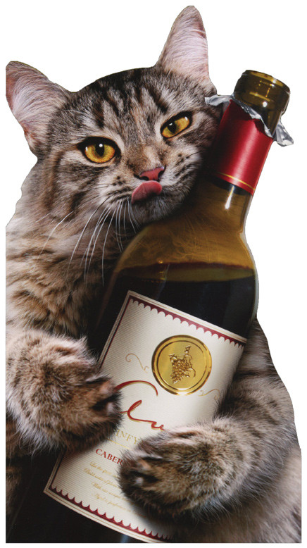 Funny Cat Birthday Card
 Cat Wine Bottle Avanti Oversized Funny Birthday Card by