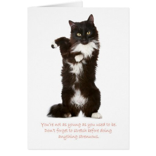 Funny Cat Birthday Card
 Funny Cat Birthday Card