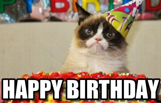 Funny Cat Birthday Meme
 Incredible Happy Birthday Memes for you Top Collections