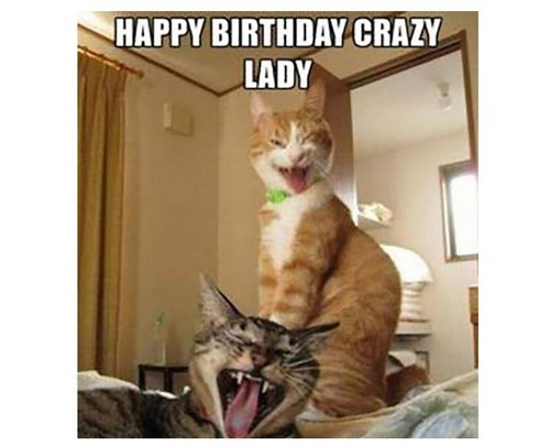 Funny Cat Birthday Meme
 45 Cat Birthday Memes