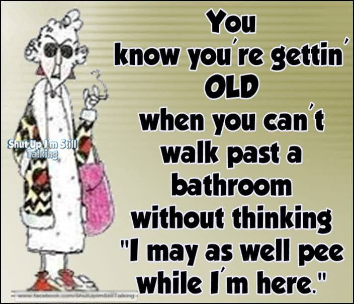 Funny Getting Older Birthday Quotes
 FUNNY OLD LADY SAYINGS QUOTES image quotes at relatably