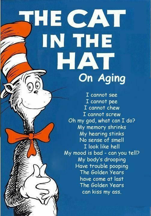 Funny Getting Older Birthday Quotes
 The Cat in the Hat Re Getting Old