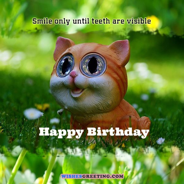 Funny Happy Birthday E Cards
 105 Funny Birthday Wishes and Messages