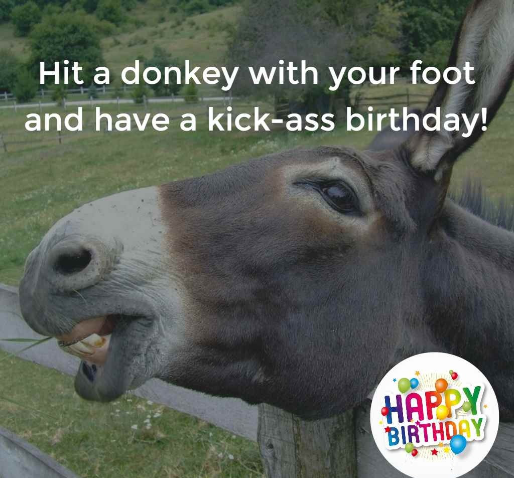 Funny Happy Birthday E Cards
 Funny Birthday Wishes Messages Messages Greetings