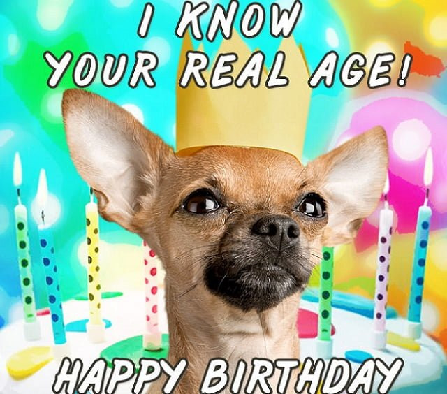 Funny Happy Birthday E Cards
 Top 33 Funny Birthday Wishes for Best Friend Male and Female